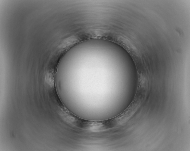 X0000111850719200907301110