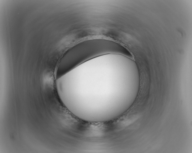 X0000111850720200907301110