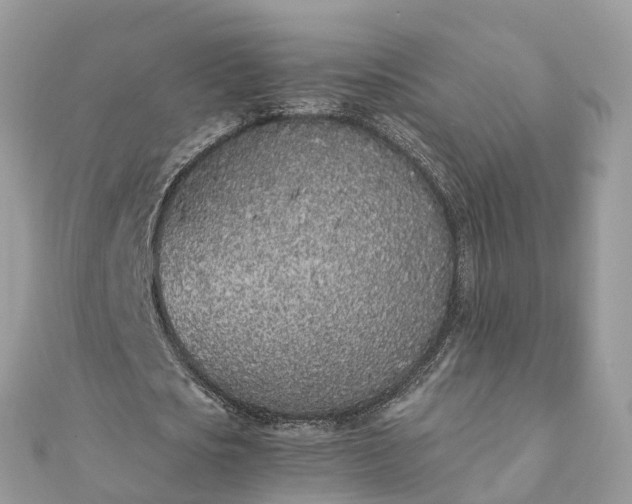 X0000111850721200907301110