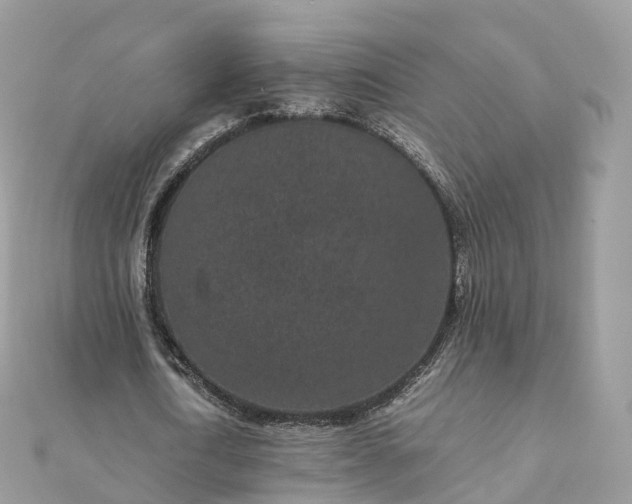 X0000111850722200907301110