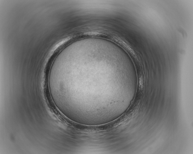X0000111850724200907301110