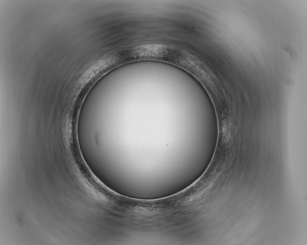 X0000111850725200907301110