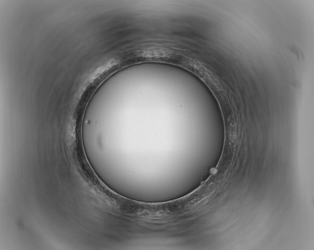 X0000111850727200907301110