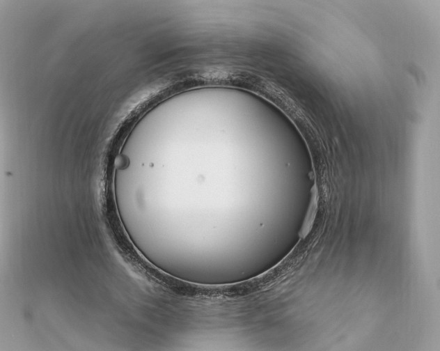 X0000111850728200907301110