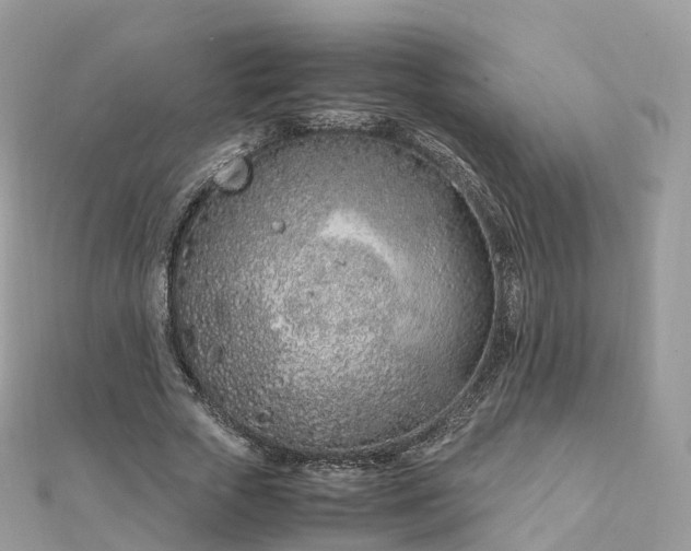 X0000111850729200907301110