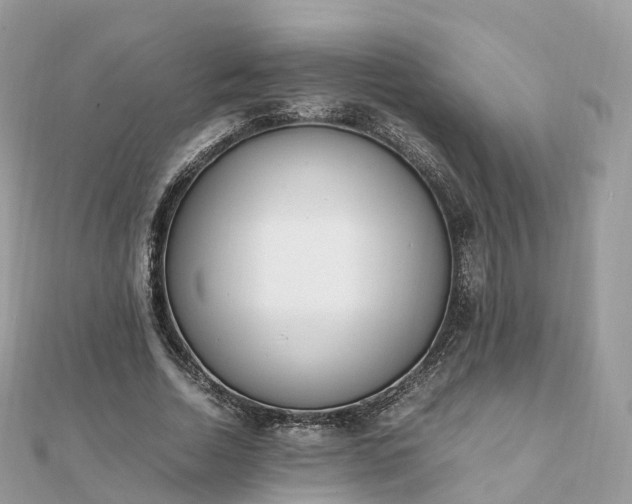 X0000111850730200907301110