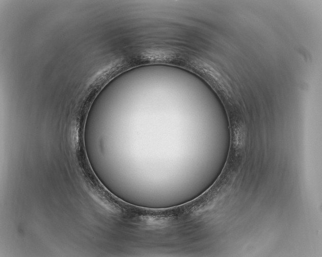 X0000111850733200907301110