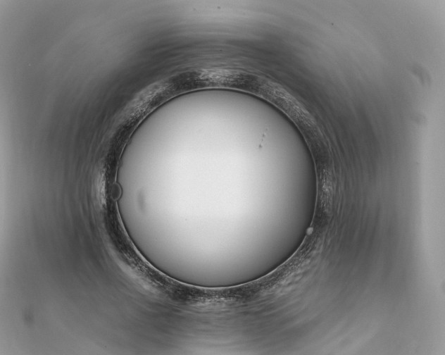 X0000111850734200907301110