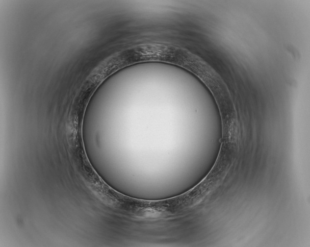 X0000111850737200907301110