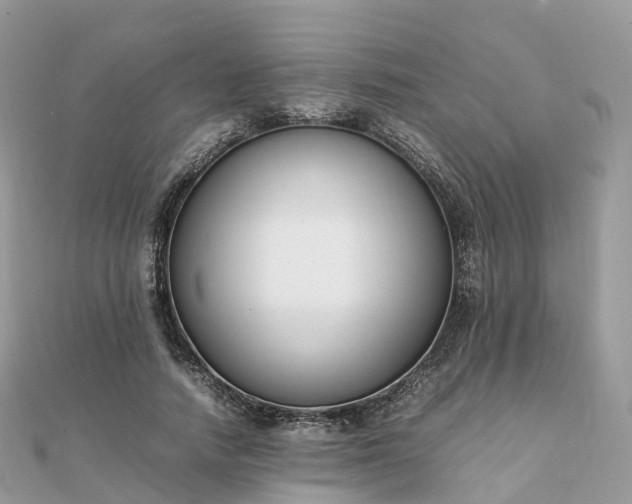 X0000111850738200907301110