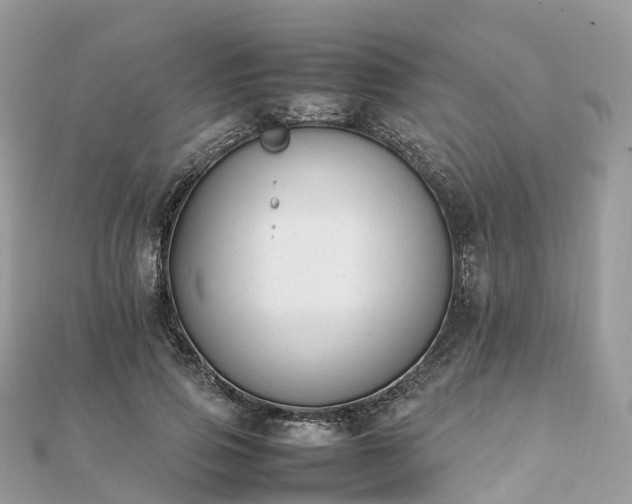X0000111850741200907301110