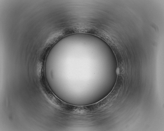 X0000111850742200907301110