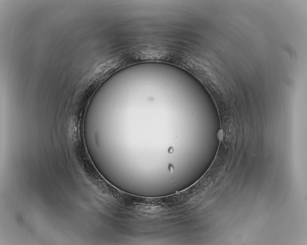X0000111850743200907301110
