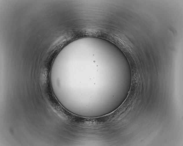X0000111850744200907301110