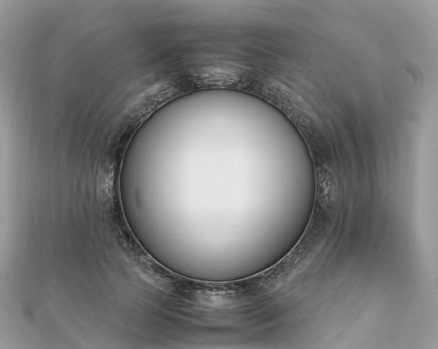 X0000111850745200907301110