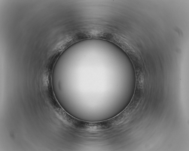 X0000111850746200907301110
