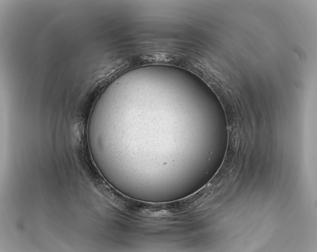 X0000111850747200907301110
