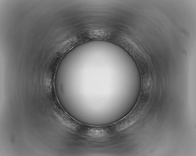 X0000111850749200907301110