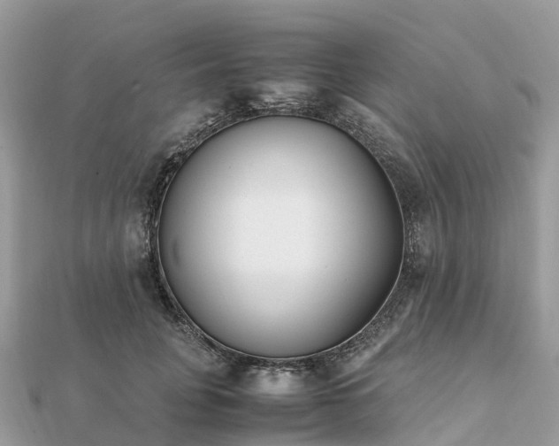 X0000111850751200907301110