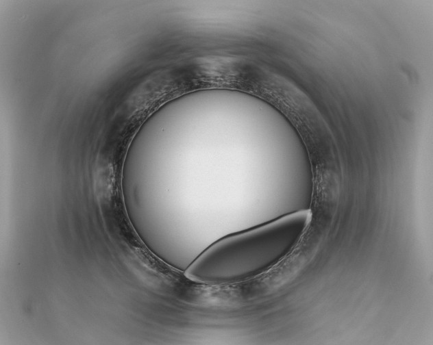 X0000111850752200907301110