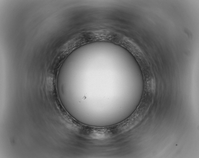 X0000111850757200907301110