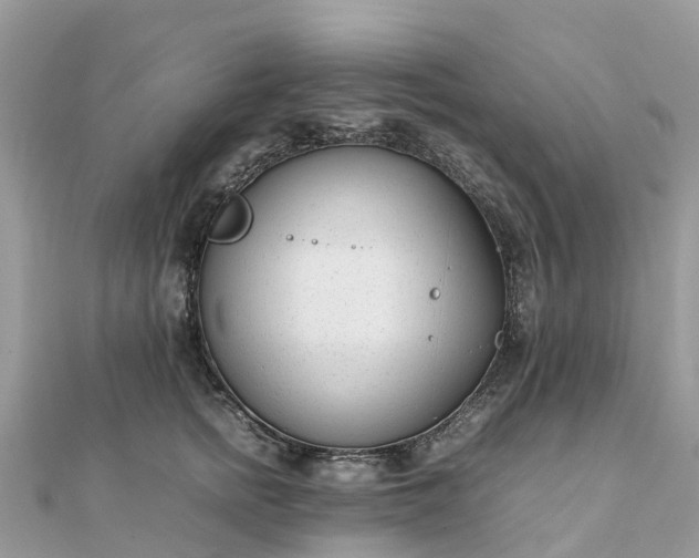 X0000111850758200907301110