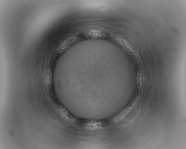 X0000111850760200907301110