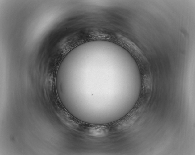 X0000111850761200907301110