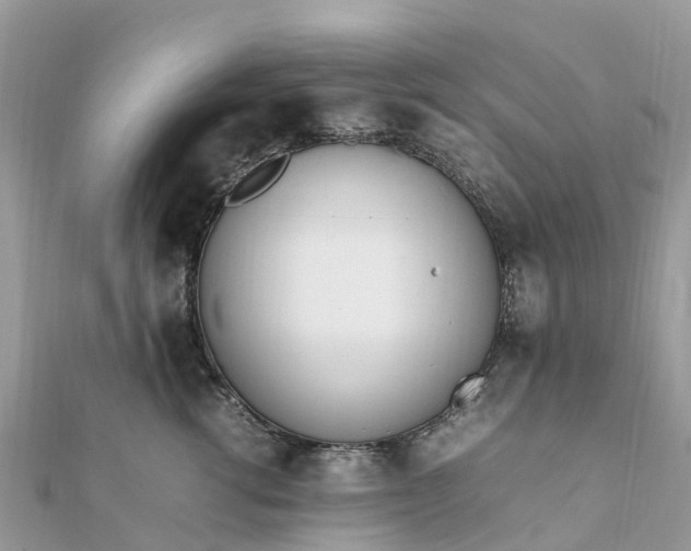 X0000111850762200907301110