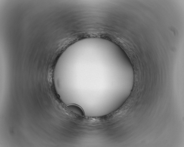 X0000111850768200907301110