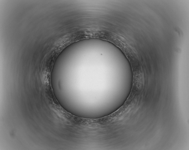 X0000111850770200907301110