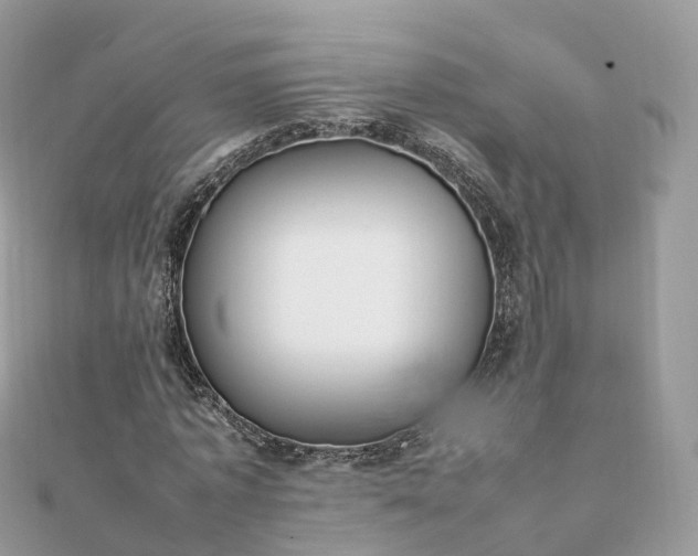 X0000111850773200907301110