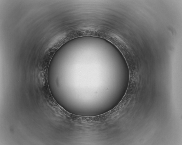 X0000111850774200907301110