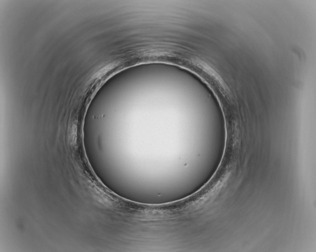 X0000111850777200907301110