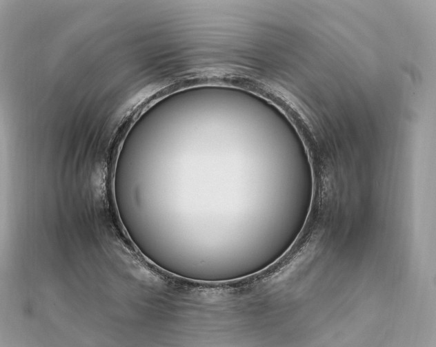 X0000111850778200907301110