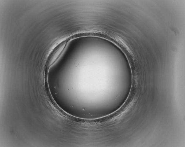 X0000111850781200907301110
