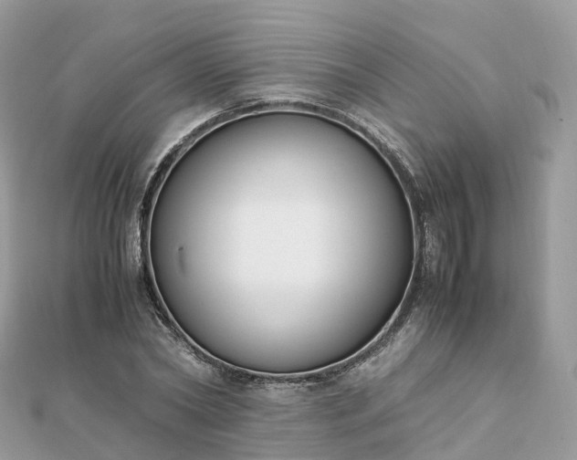 X0000111850782200907301110