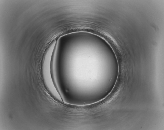 X0000111850785200907301110