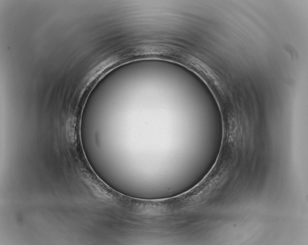 X0000111850786200907301110