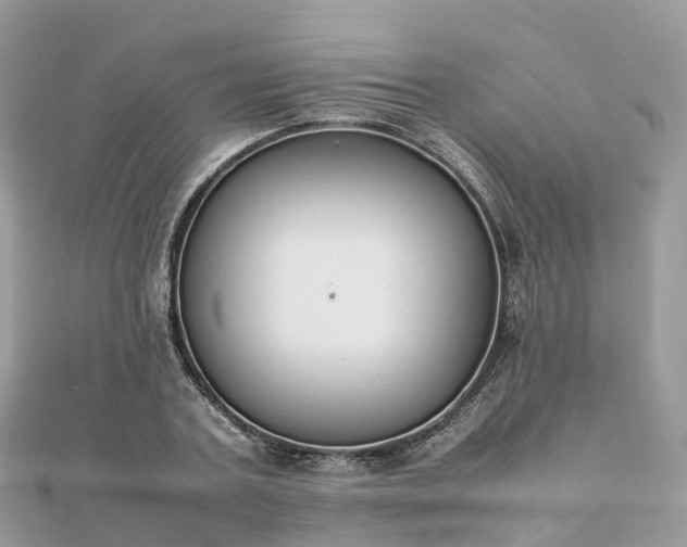 X0000111850787200907301110