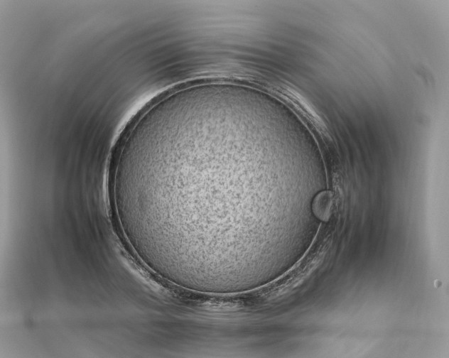 X0000111850788200907301110