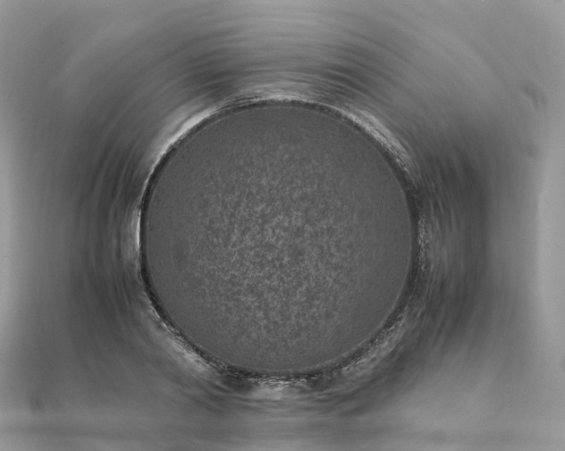 X0000111850790200907301110