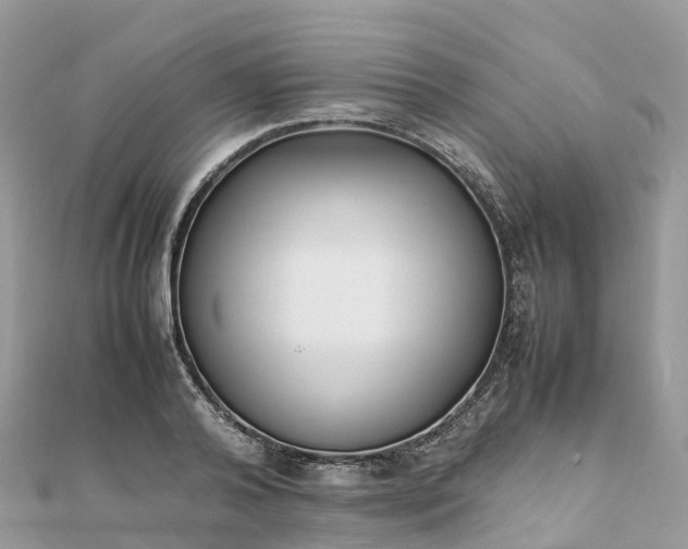 X0000111850792200907301110