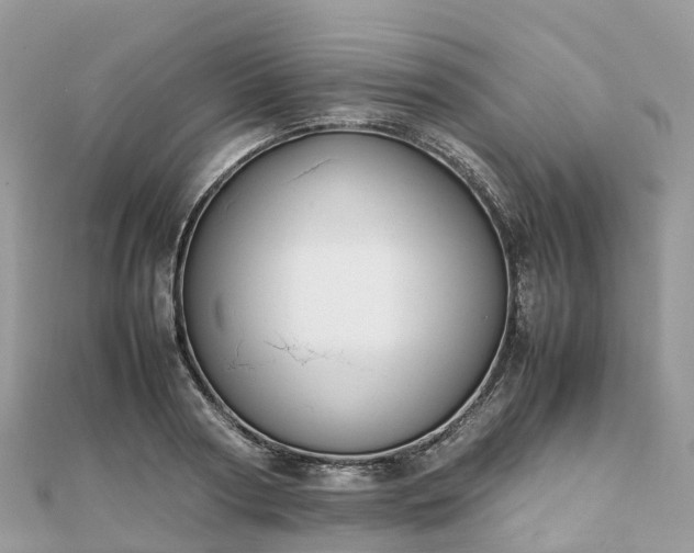 X0000111850794200907301110