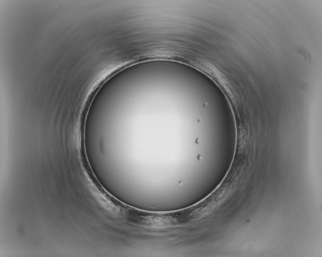 X0000111850795200907301109