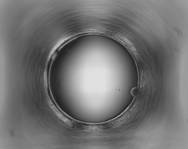 X0000111850796200907301109
