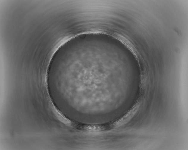 X0000111850797200907301109