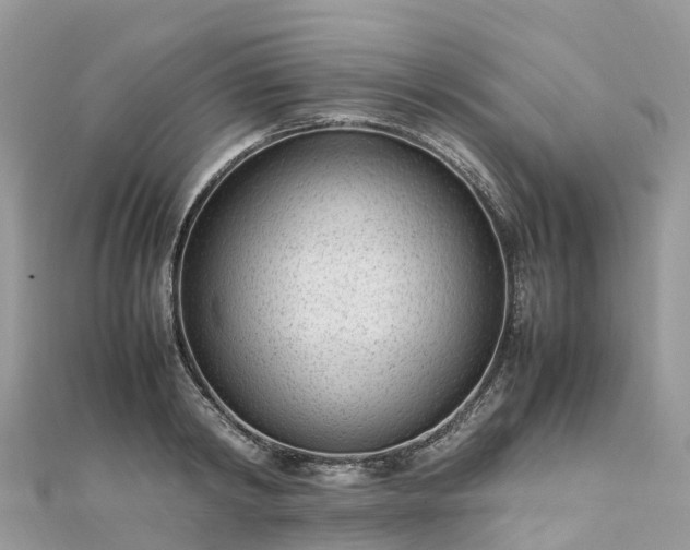 X0000111850798200907301109