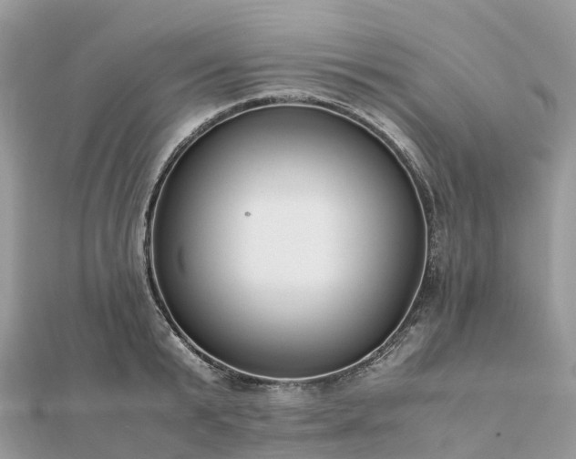 X0000111850799200907301109