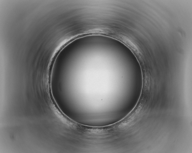 X0000111850800200907301109